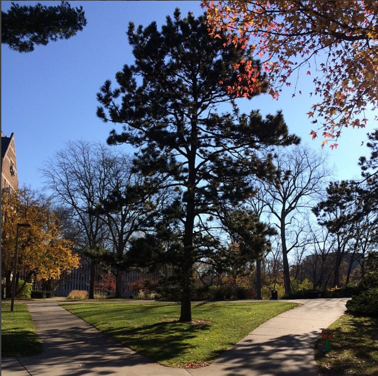 Screen Shot 2016-04-14 at 12.02.16 AM